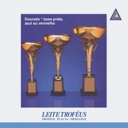Troféu 100