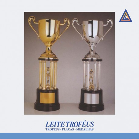 Troféu 133